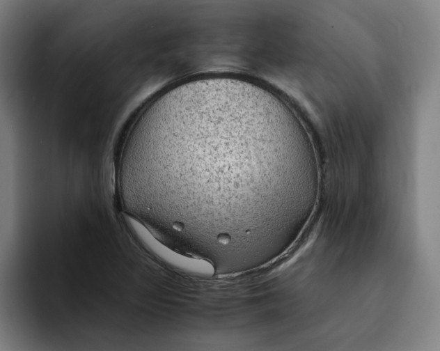 X0000094221317200711161841