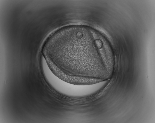 X0000094221318200711161841