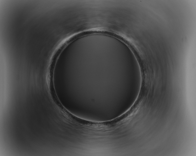 X0000094221319200711161841