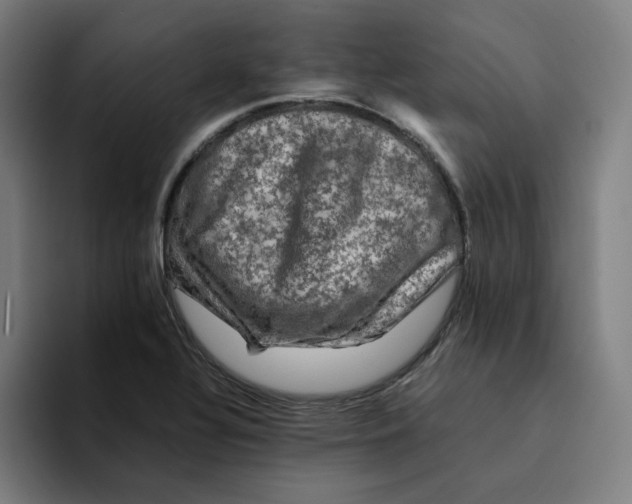 X0000094221320200711161841