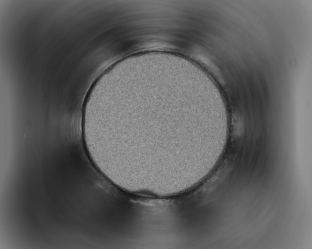 X0000094221322200711161841