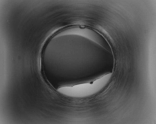 X0000094221323200711161841