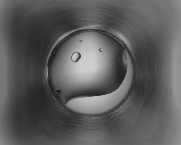 X0000094221324200711161841