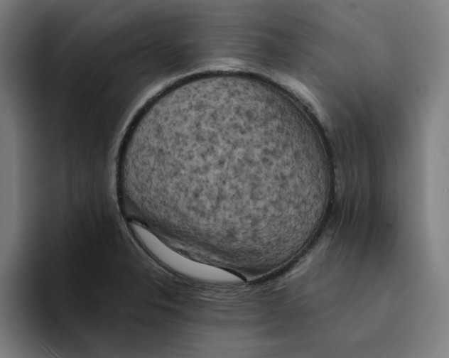 X0000094221326200711161841