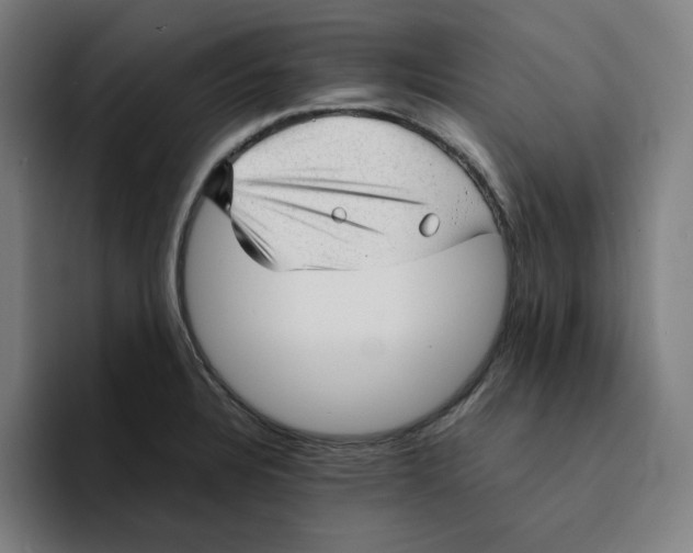 X0000094221328200711161841