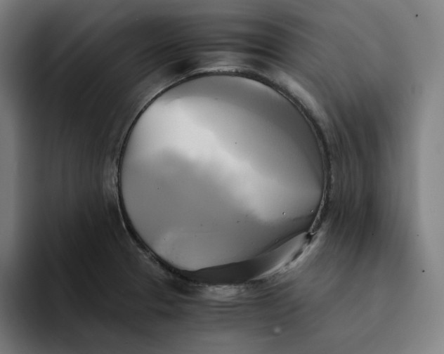 X0000094221329200711161841