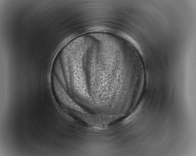 X0000094221330200711161841