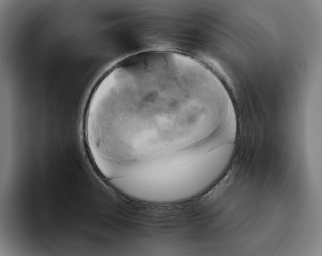 X0000094221331200711161841