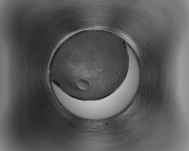 X0000094221332200711161841