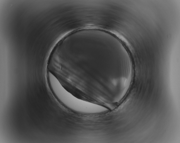 X0000094221333200711161841