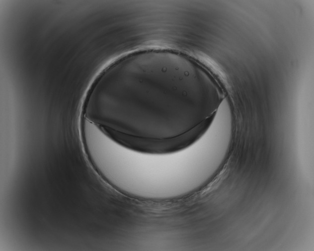 X0000094221334200711161841