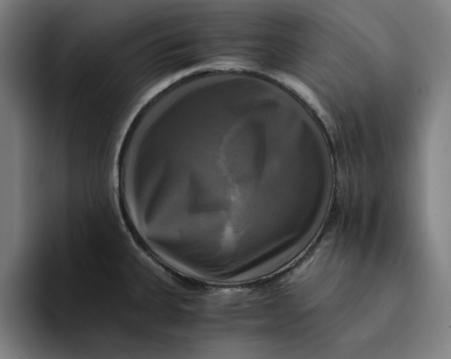 X0000094221335200711161841