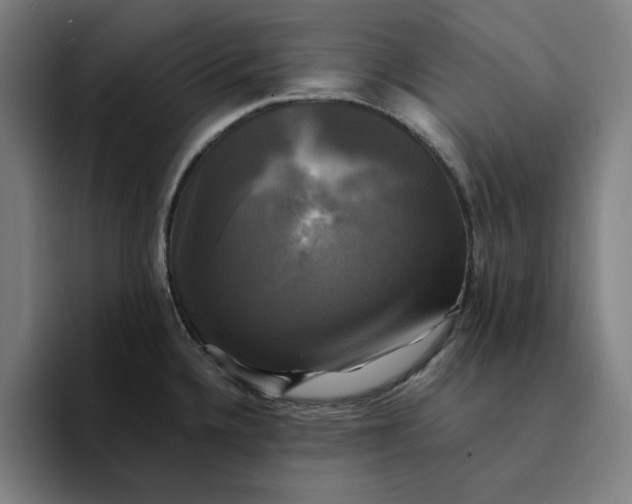 X0000094221336200711161841