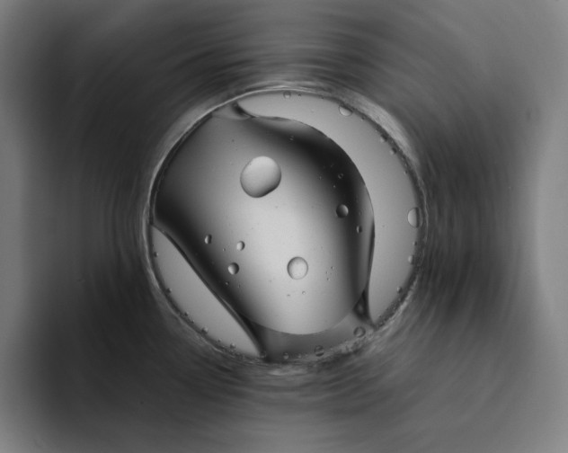 X0000094221338200711161841