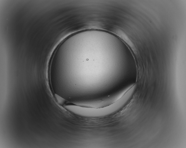 X0000094221339200711161841