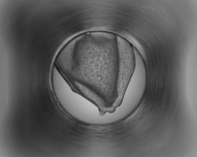 X0000094221340200711161841