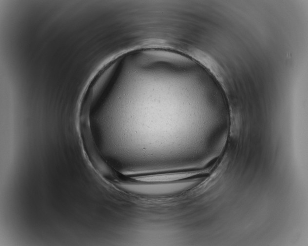 X0000094221342200711161841