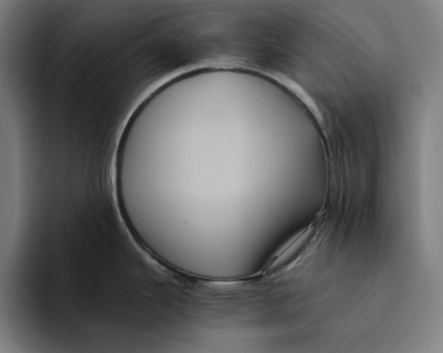 X0000094221343200711161841