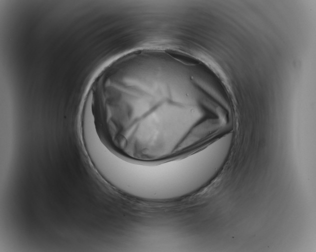 X0000094221344200711161841