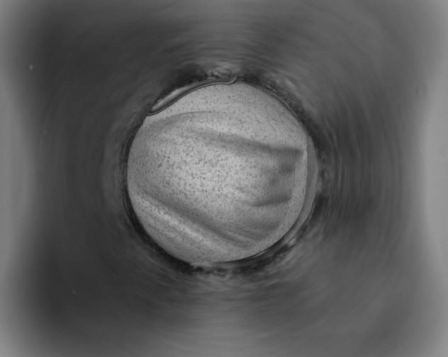 X0000094221345200711161841