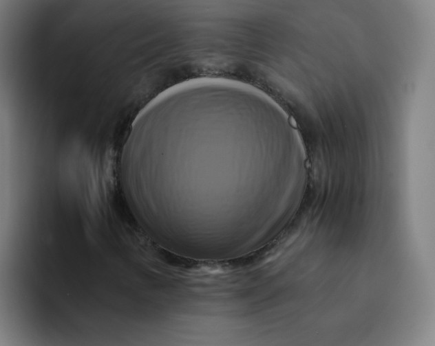 X0000094221346200711161840