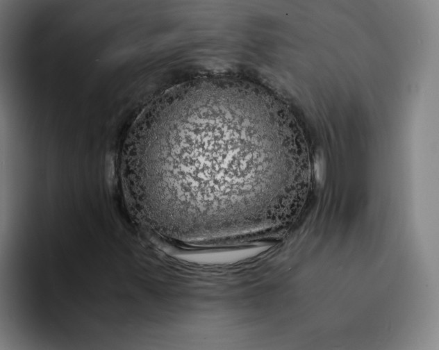 X0000094221347200711161840