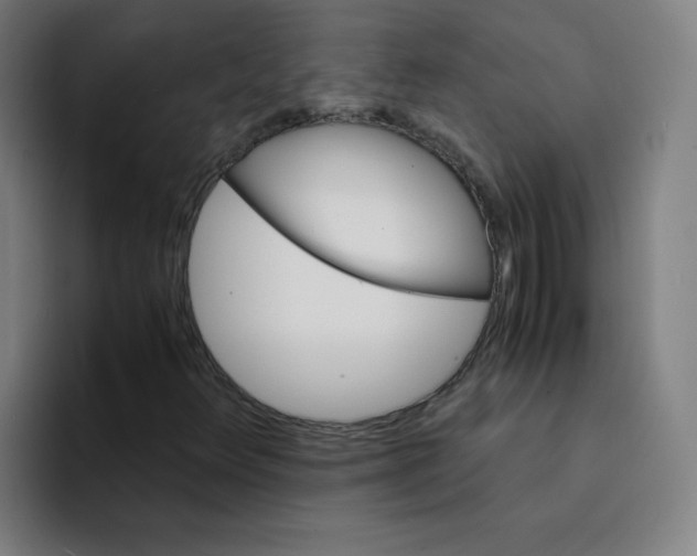 X0000094221348200711161840