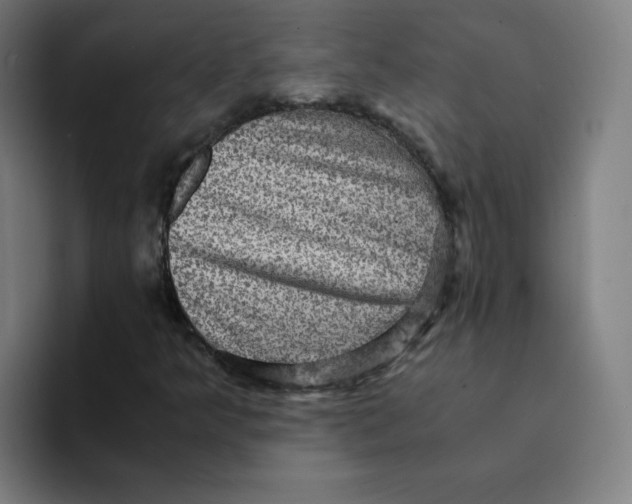 X0000094221349200711161840