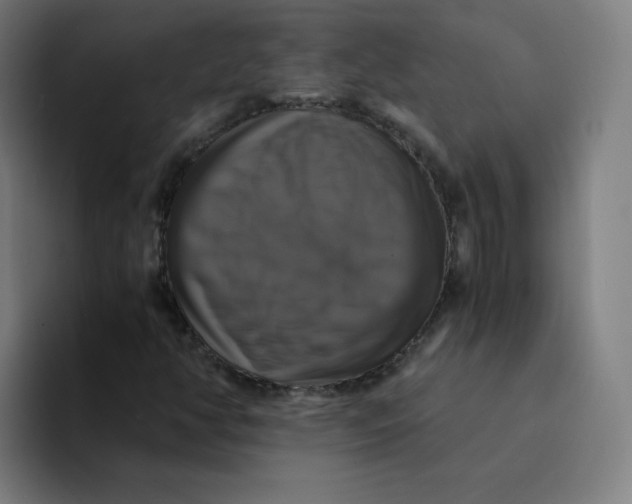 X0000094221350200711161840