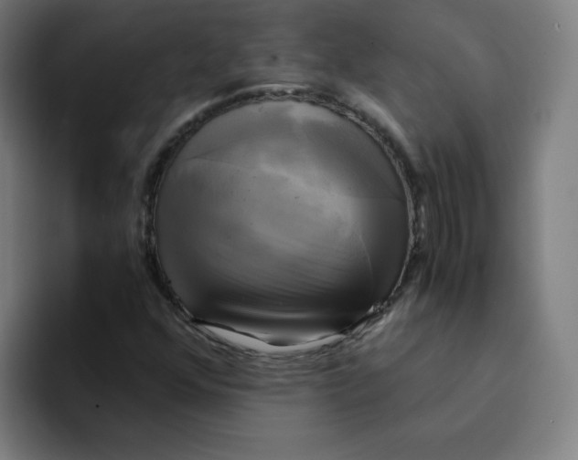 X0000094221352200711161840