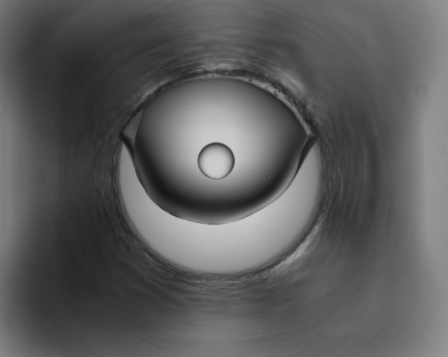 X0000094221353200711161840