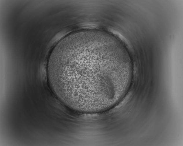 X0000094221354200711161840