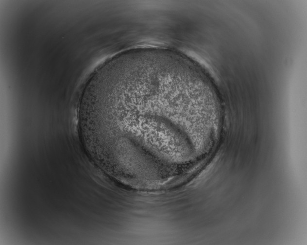 X0000094221355200711161840