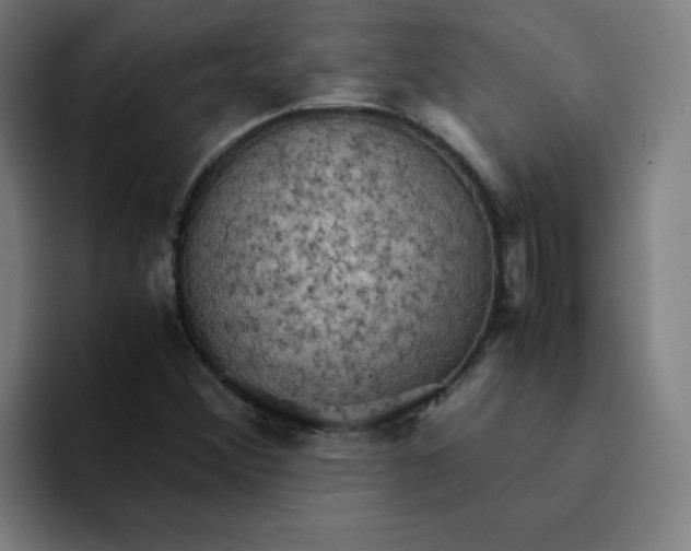 X0000094221356200711161840