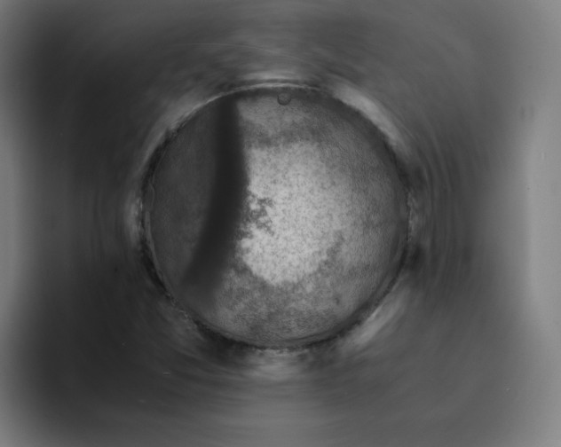 X0000094221357200711161840