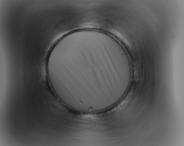 X0000094221358200711161840