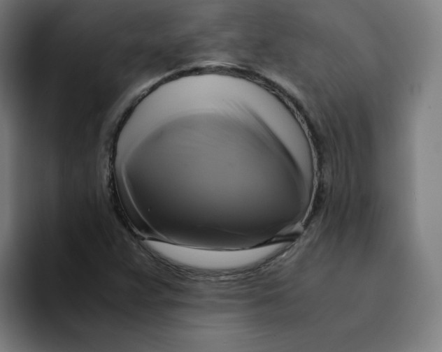 X0000094221359200711161840