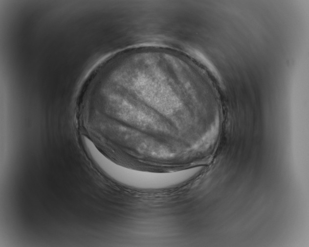 X0000094221360200711161840