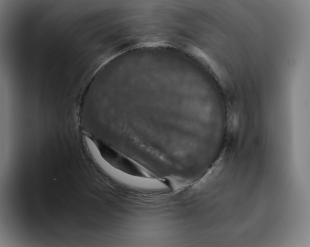 X0000094221361200711161840