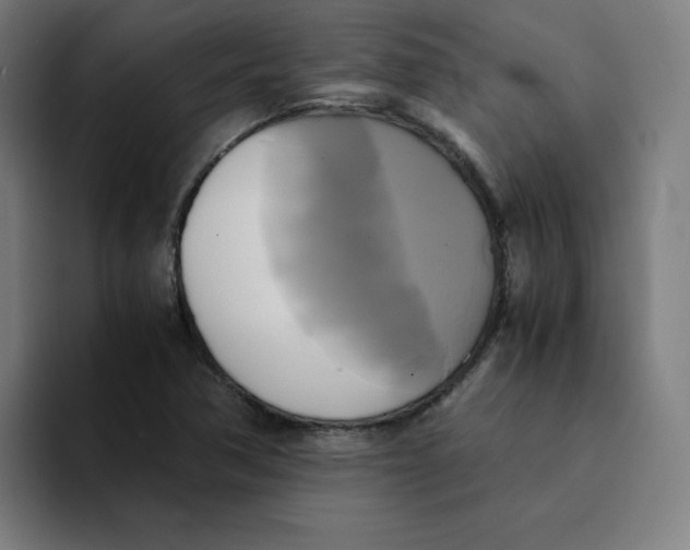 X0000094221362200711161840