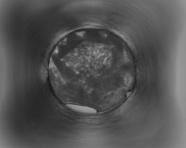 X0000094221363200711161840