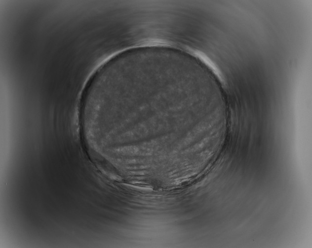 X0000094221364200711161840