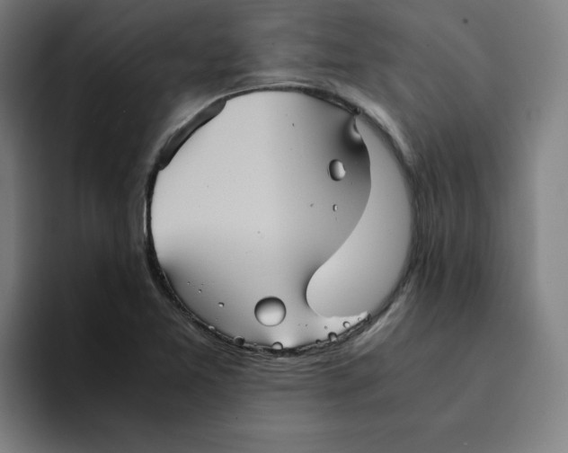 X0000094221365200711161840