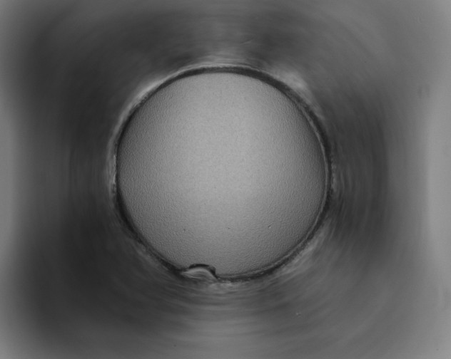 X0000094221366200711161840