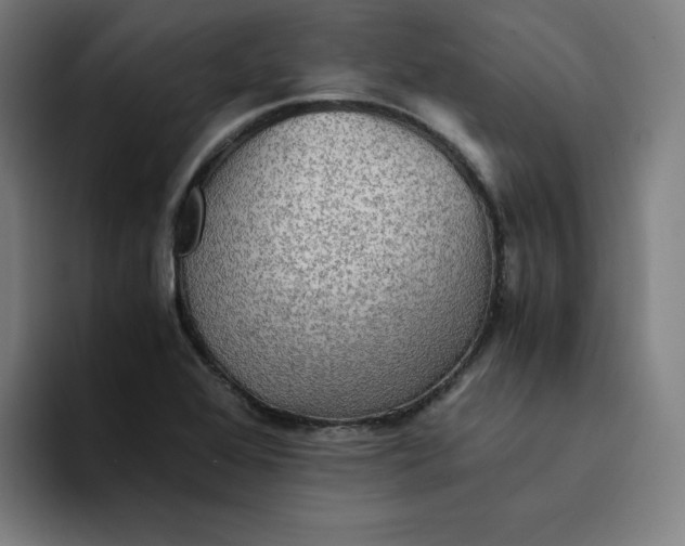 X0000094221368200711161840