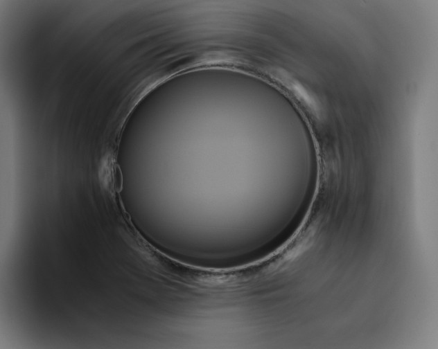 X0000094221369200711161840