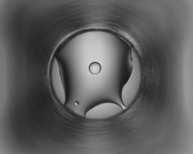 X0000094221372200711161840