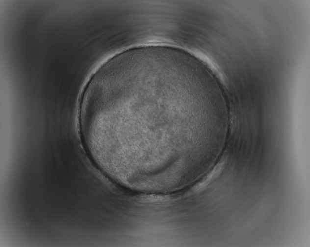 X0000094221374200711161840