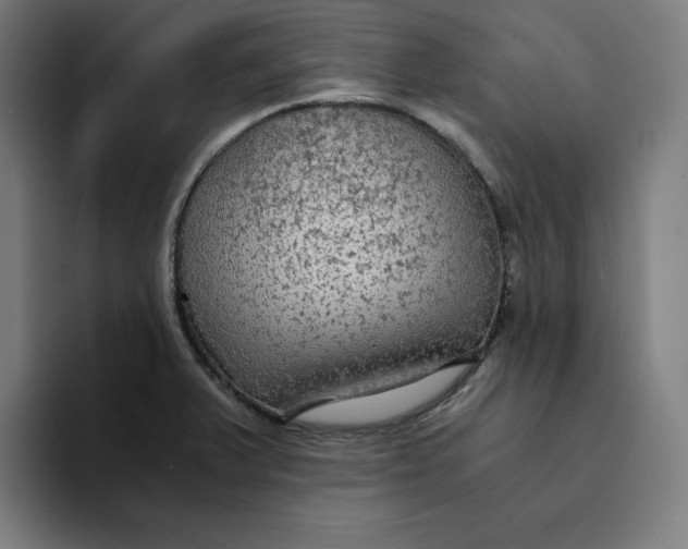 X0000094221375200711161840