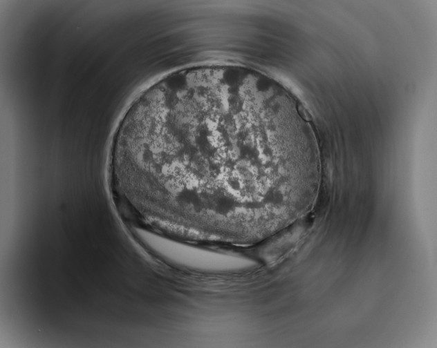 X0000094221379200711161840